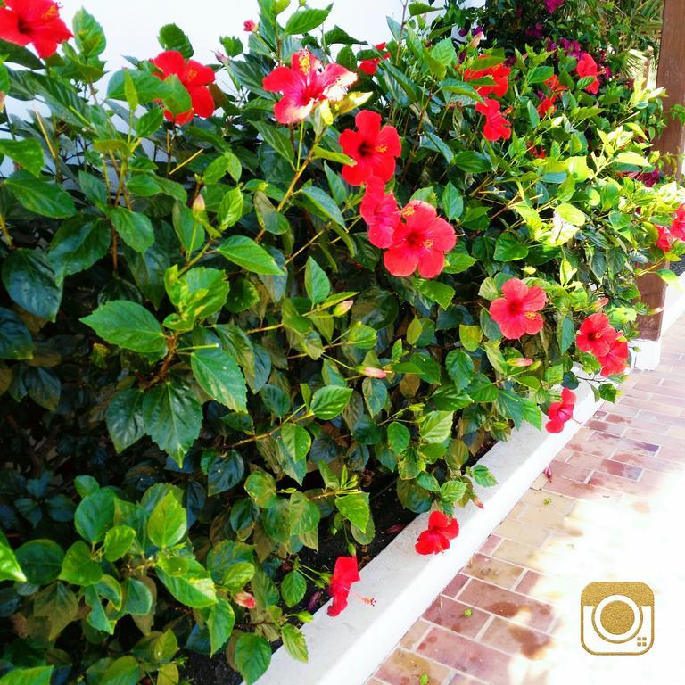 The Colors House, 639 Private Apartment Costa Teguise Dış mekan fotoğraf